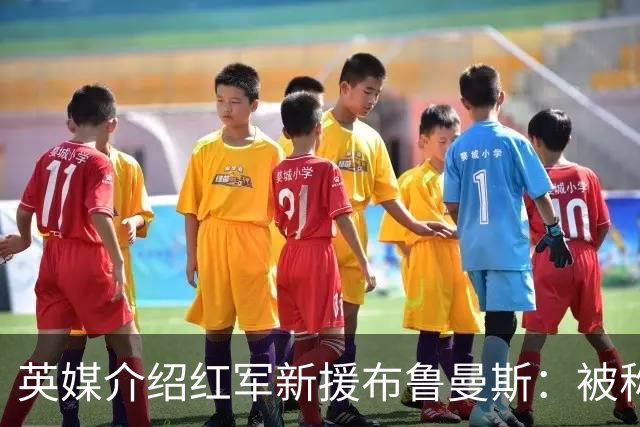 英媒介绍红军新援布鲁曼斯：被称作新裤袜，将和马马达争一门